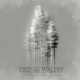 Lied des Waldes "Withering Shades of Pale" Digipack CD