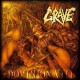 Grave "Domination VIII" CD