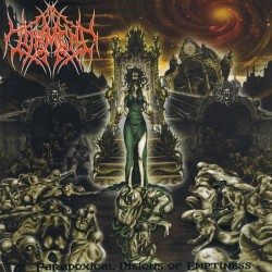 In Torment "Paradoxical Visions of Emptiness" CD