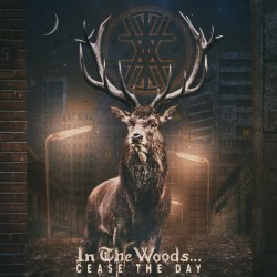 In The Woods "Cease the Day" Slipcase CD