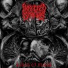 Infected Sphere "Abyss Ov Flesh" CD