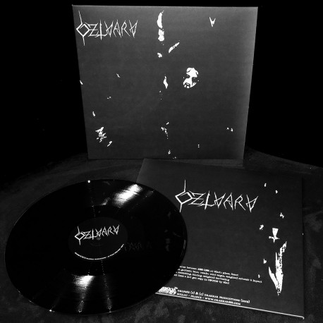 Dzlvarv "Dzlvarv" LP (Les Légions Noires)