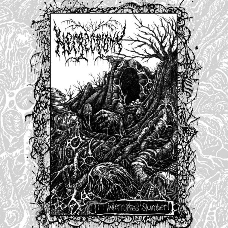 Necrectomy "Interrupted Slumber" MCD