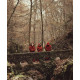 Aara "Eiger" Digipack CD