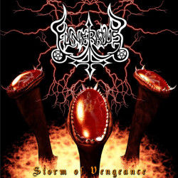 Funeratus "Storm of Vengeance" CD